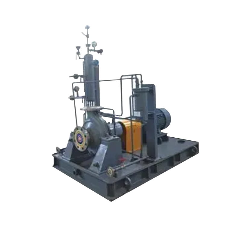 Chemical Process Pump